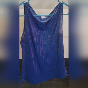 Sheer And Shiny Sleevless Blouse